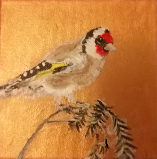 Goldfinch hues by Yvonne Cavens, Image 1.