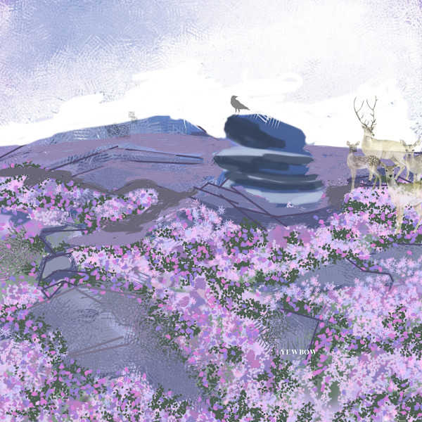Purple heather by Yvonne Cavens, Image 1.