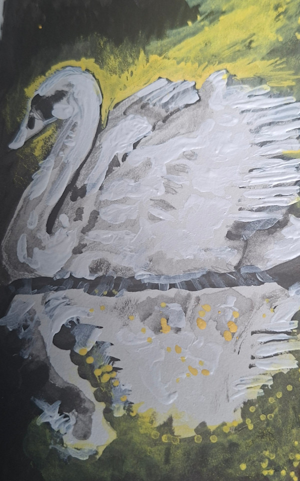 Swan Swims into light. by Yvonne Cavens, Image 1.