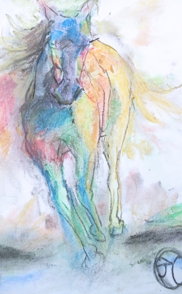 Multi colour Horse by Yvonne Cavens