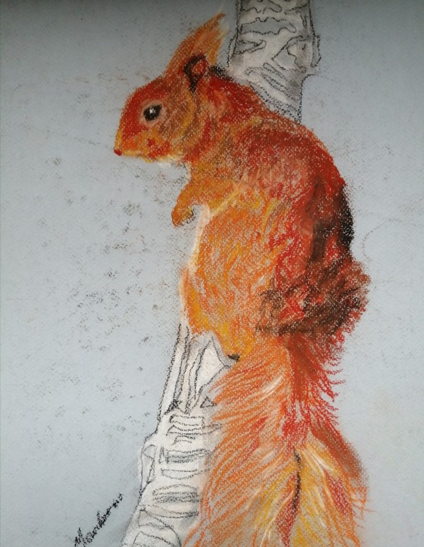 Miss Red squirrel by Yvonne Cavens