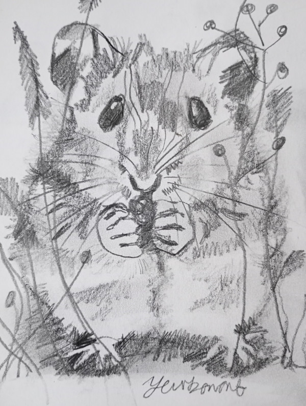 Inquisitive eyes( miniature) by Yvonne Cavens, Image 1.