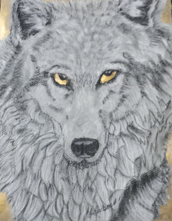 Golden wolf by Yvonne Cavens, Image 16.