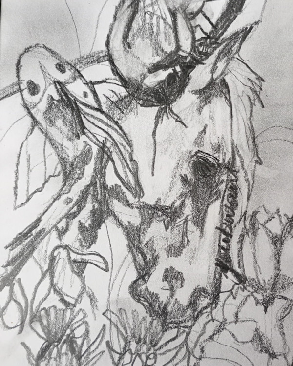 Studies in pencil by Yvonne Cavens, Image 1.