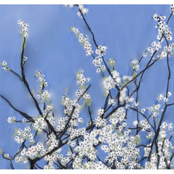 Flowers blossom by Yvonne Cavens, Image 1.