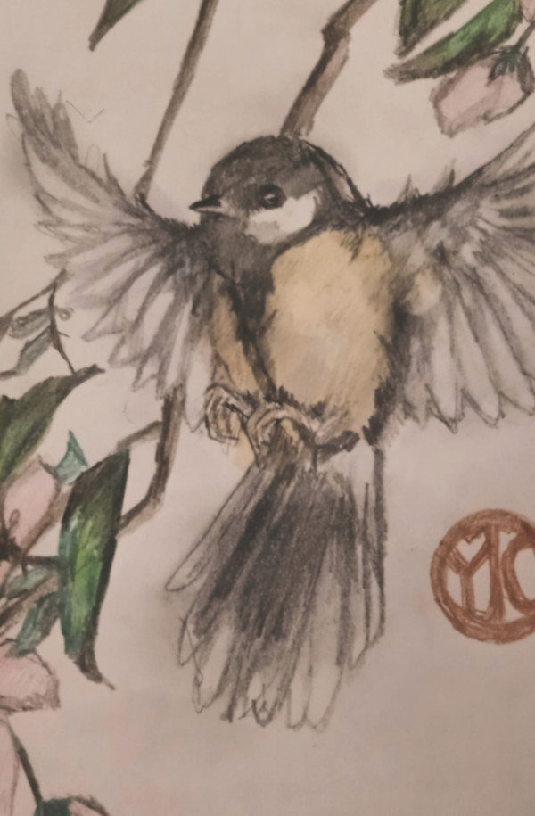 Blue tit in flight by Yvonne Cavens, Image 1.