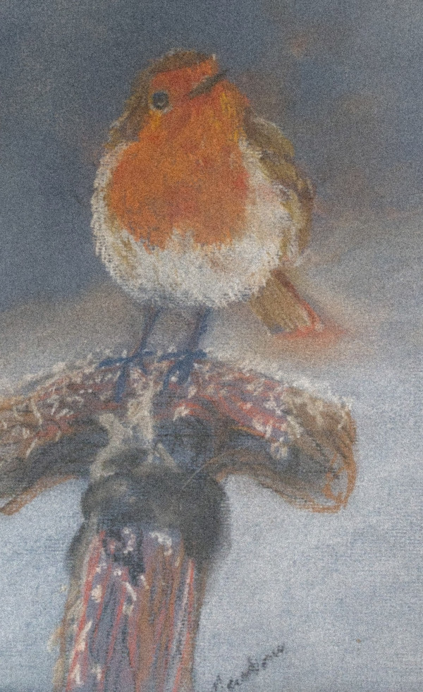 Mr Robin Red Breast by Yvonne Cavens