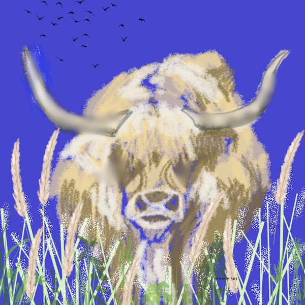 Highland Coo by Yvonne Cavens