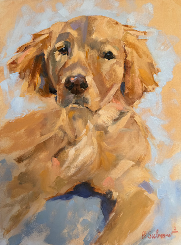 But You Just Got Here by Brenda Sulmonetti