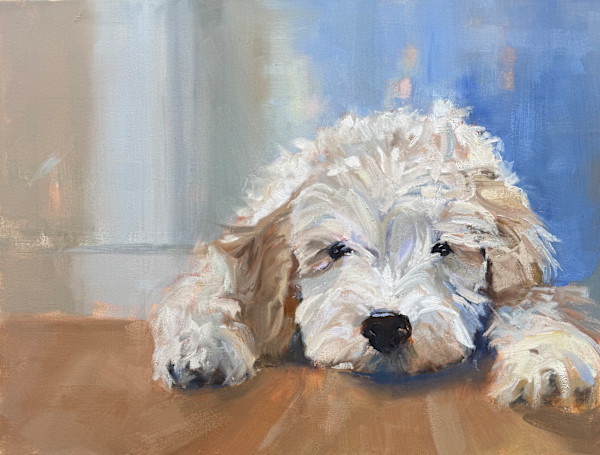 Remy by Brenda Sulmonetti