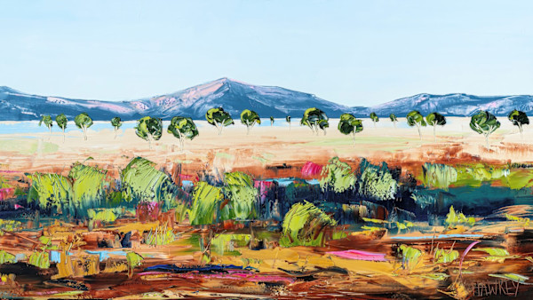 Macedon Ranges by angela Hawkey