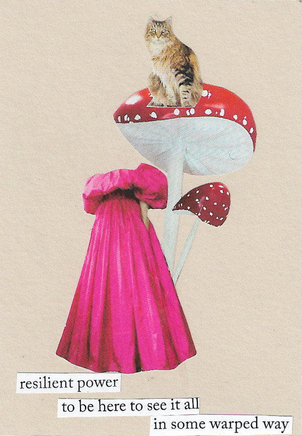 Resilient power by Sandra Gea