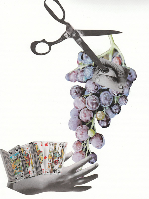 You reap what you saw by Sandra Gea