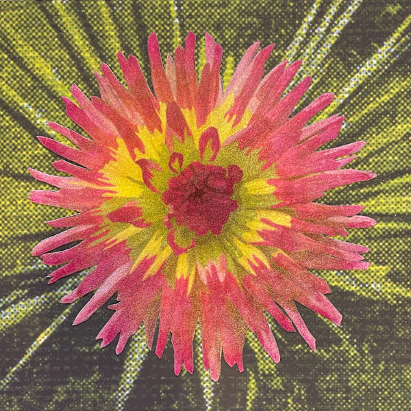Gentle Night Volcano by Mary Jo Karimnia, Image 1.