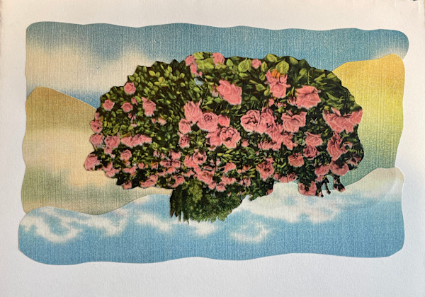 Self Portrait as a Cloud 6 by Mary Jo Karimnia, Image 1.