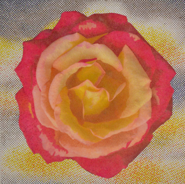 Slowly Thriving by Mary Jo Karimnia, Image 1.