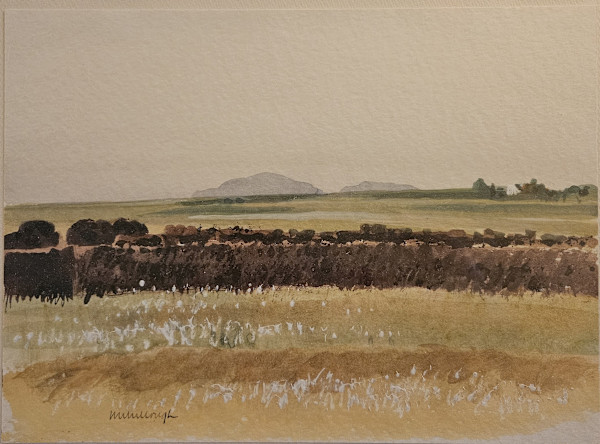 Untitled- from Irish travels by Joseph McCullough