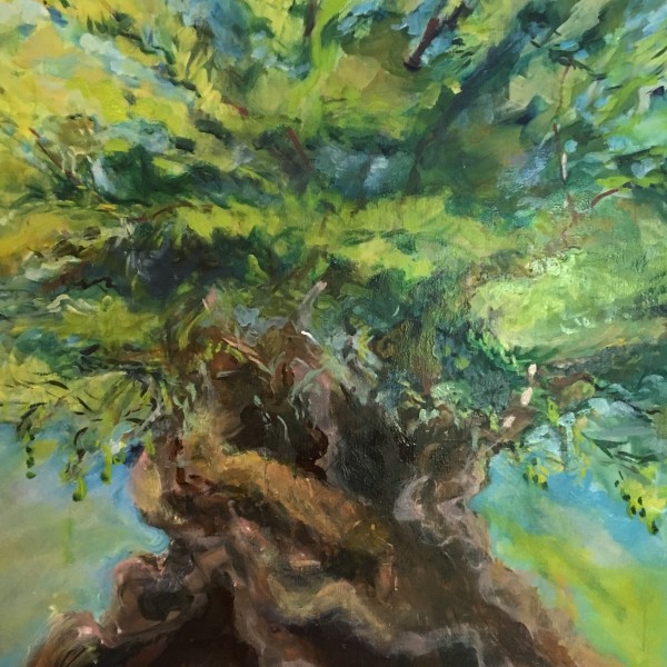 The Eternal Olive Tree by Gay P Cox