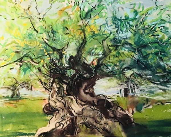 Oak in Summer by Gay P Cox