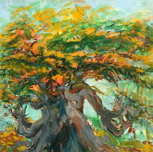 Oak in Fall by Gay P Cox