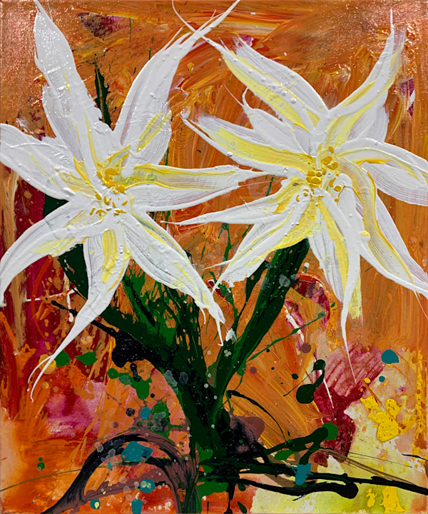 Floral Burst #45 by Solomon & Fox