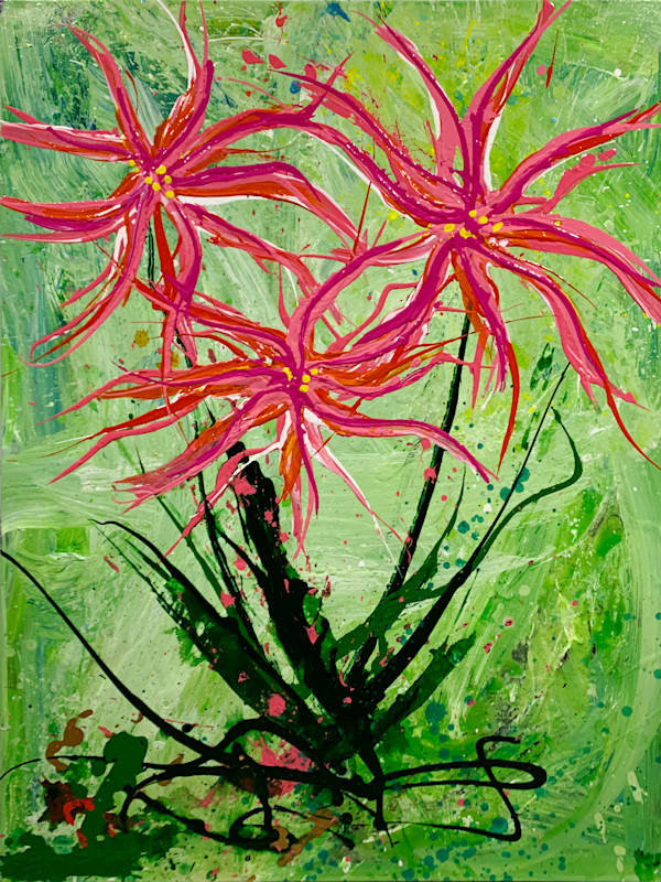 Floral Burst #50 by Solomon & Fox