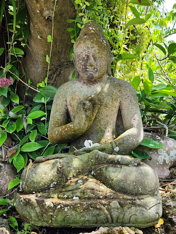 The Buddha by Unknown, Image 1.