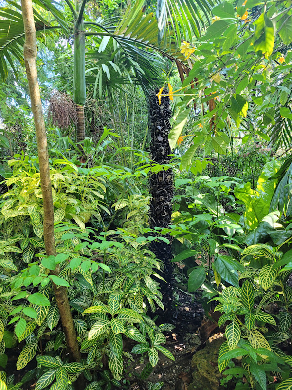 Column by Steve Tobin, Image 1.