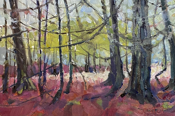 Cedar Forest Floor by Cheryl Potter