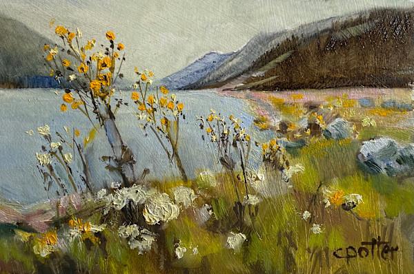 Moose Lake Vista by Cheryl Potter