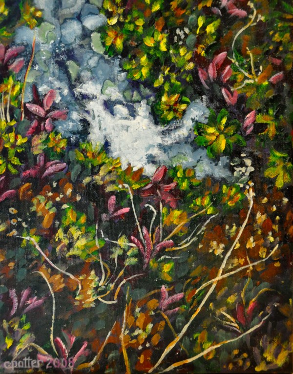 Lichen by Cheryl Potter