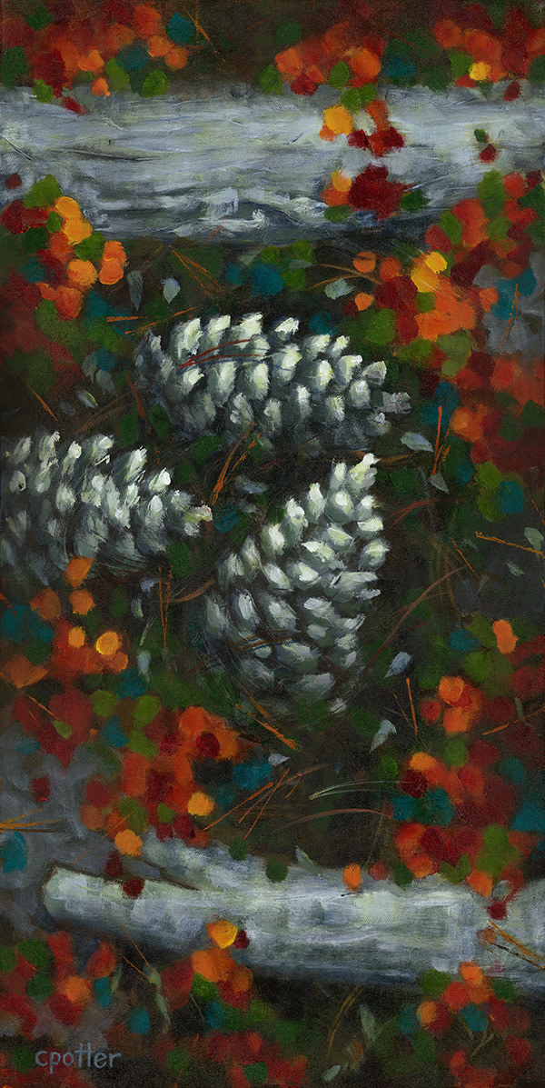 Pinecones by Cheryl Potter
