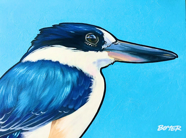 Forest Kingfisher on Blue by Susy Boyer