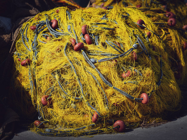 Fishing Nets I by Peter Mendelson