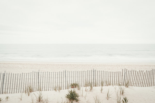 Beach Harmonics by Peter Mendelson
