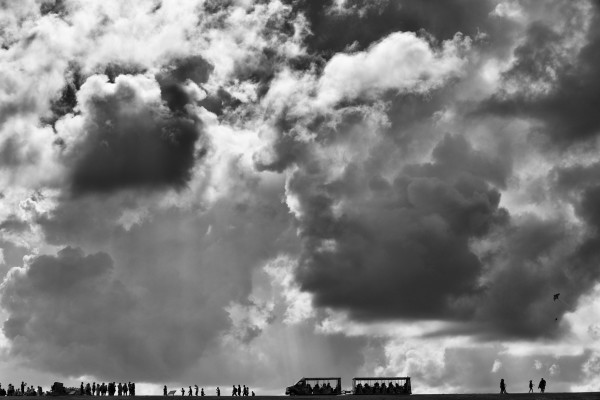 Bring in the Kites by Peter Mendelson