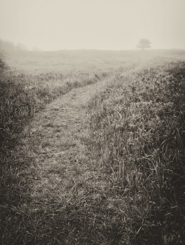 Rodman's Hollow IV by Peter Mendelson
