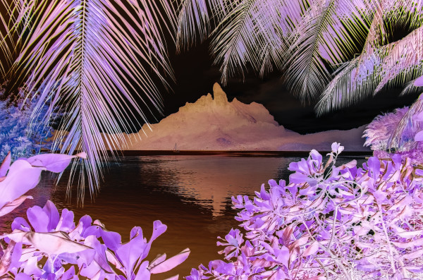 Inverted Realities - Bora Bora Vista by Peter Mendelson