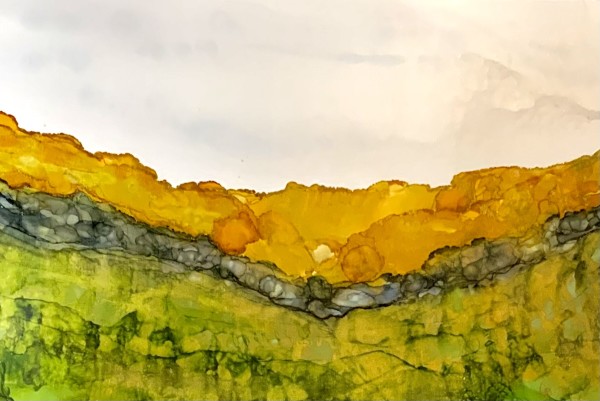 Gold Hill Mesa by Cindy Brinkman