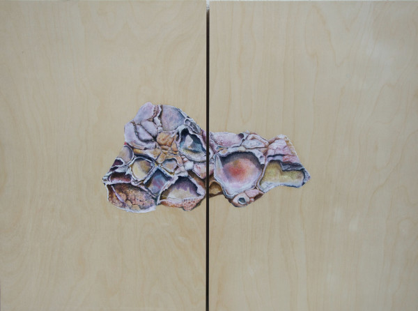 Red Rock by Louise Richards-Green