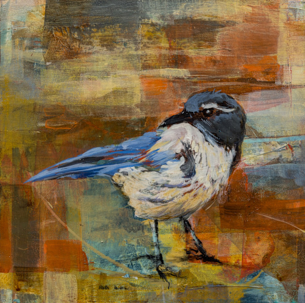 BlueJay Visit by Jules Kobelin