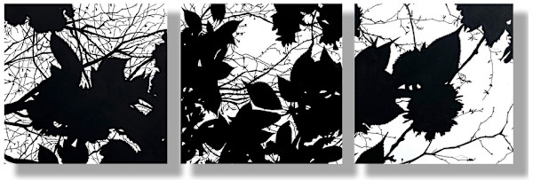 Study I for I Can Hear The Almost Unhearable Sound Of The Flowers Singing by Lindsay Heider Diamond