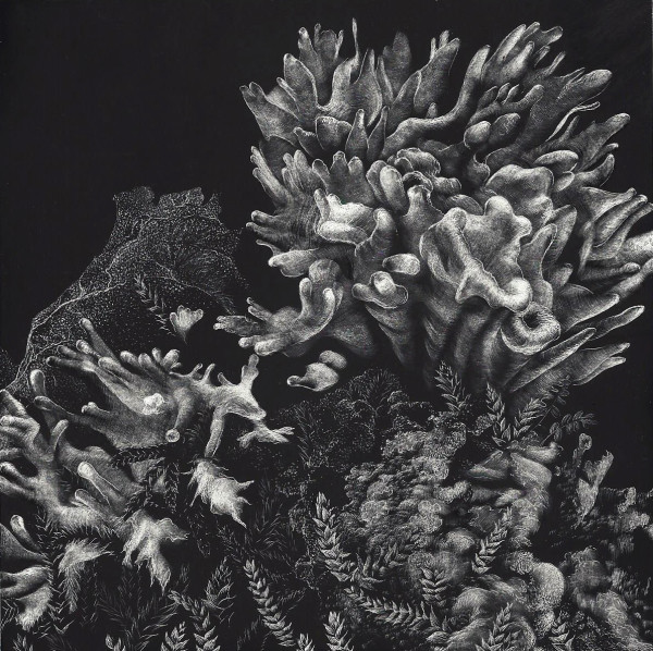 Beauty Bears an Ultra Fringe by Lindsey Kiser