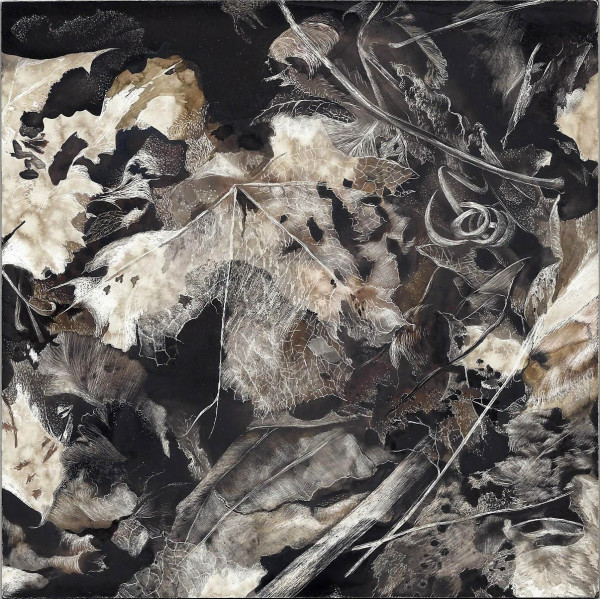 In Our Midst by Lindsey Kiser