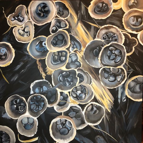 Harvest Beauty Where It Grows by Lindsey Kiser