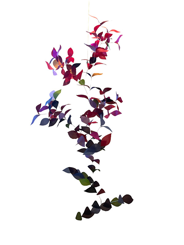 Vine and Leaf Cluster with Gradation by Jan R Carson, Image 1.