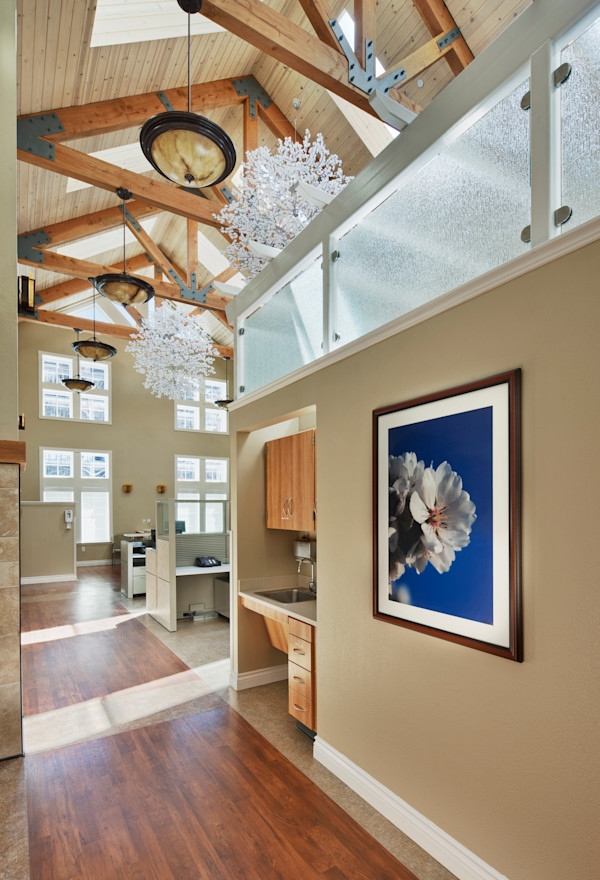 Flowering Almond Mobiles by Jan R Carson