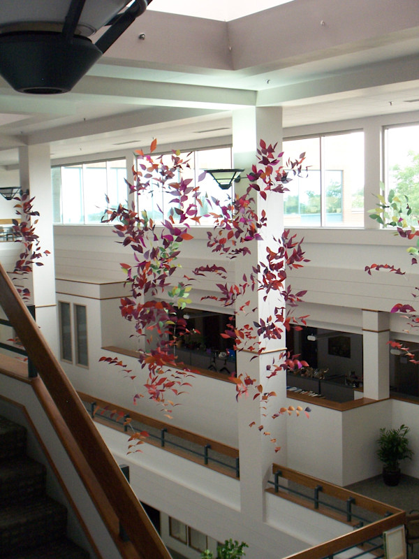 Growth & Blooming by Jan R Carson