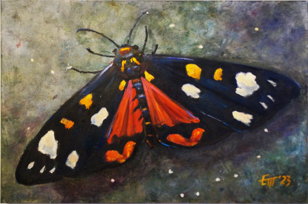 Day Moth by Elena