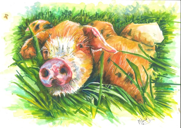 Alderney Pig - Snuffles by michelle